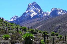 Mount Kenya day Trip